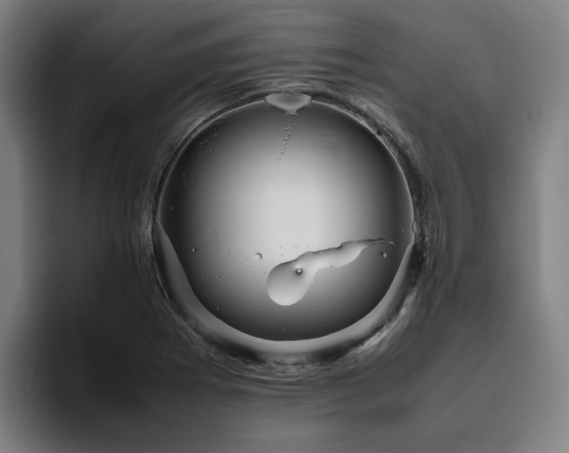 X0000094821273200711161520