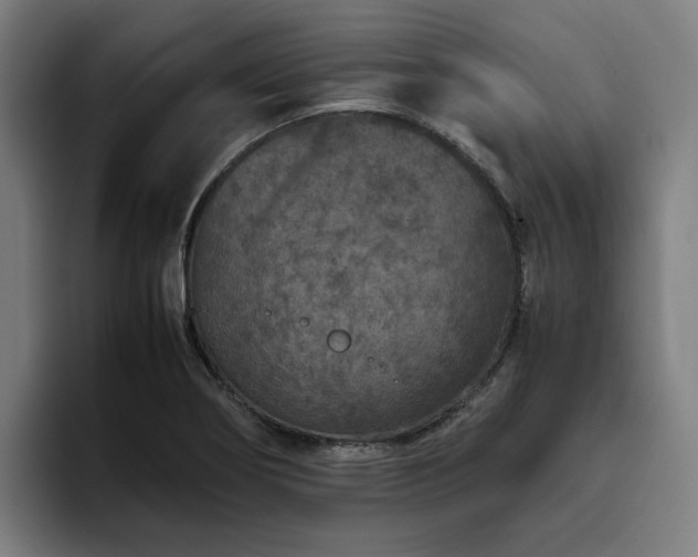 X0000094821274200711161520