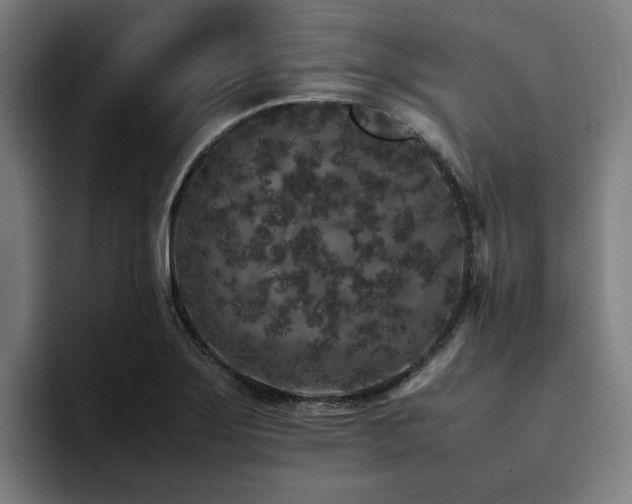 X0000094821275200711161520