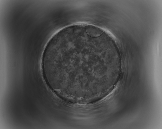 X0000094821279200711161520