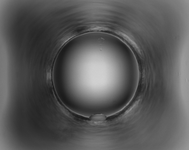 X0000094821281200711161520