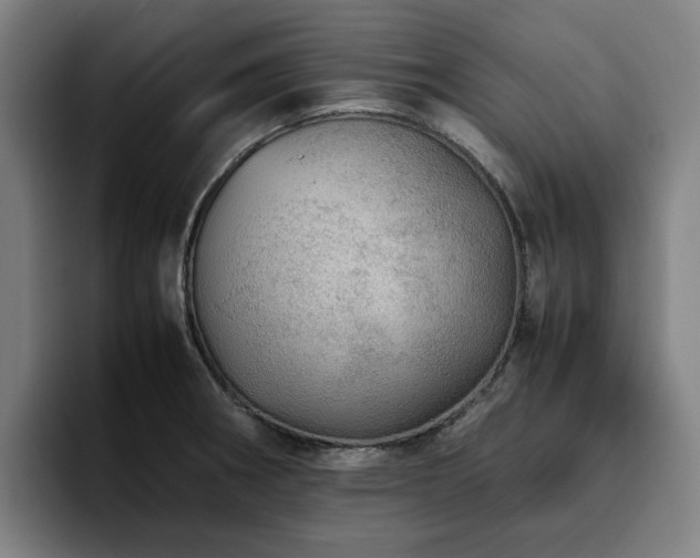 X0000094821282200711161520