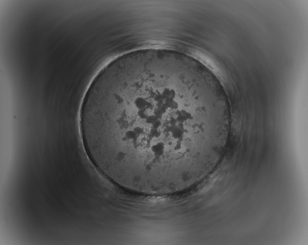 X0000094821283200711161520
