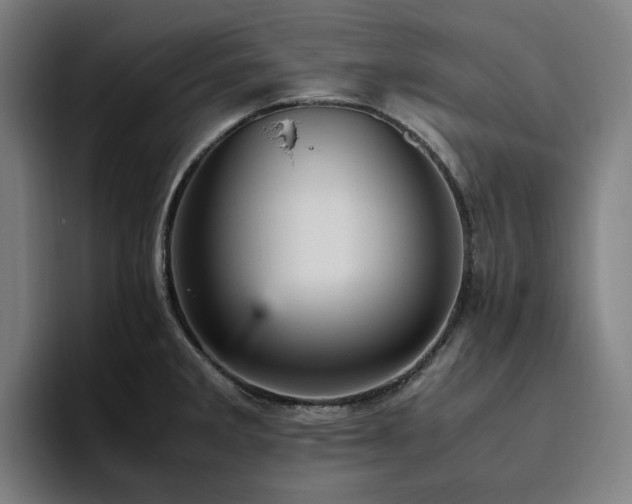 X0000094821285200711161520