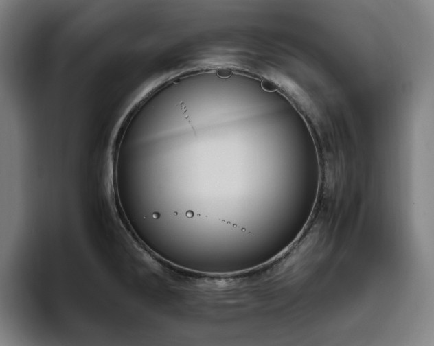 X0000094821286200711161520