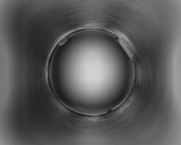 X0000094821288200711161520