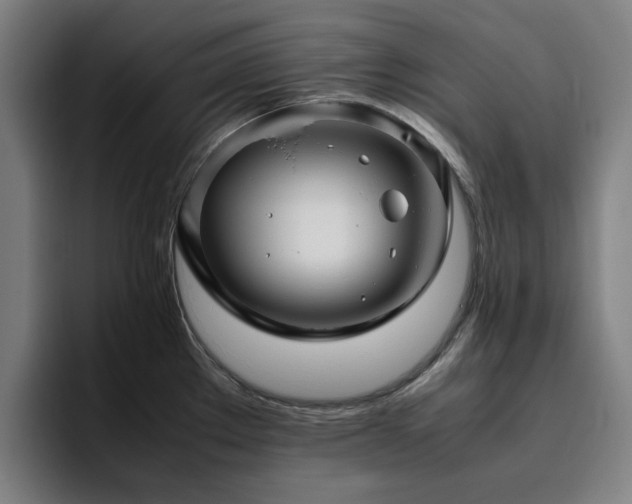 X0000094821289200711161520