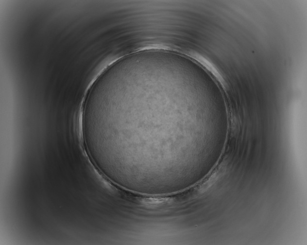 X0000094821290200711161520