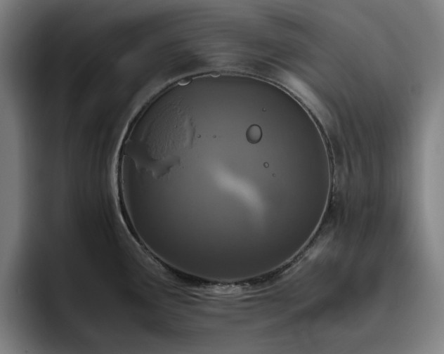 X0000094821291200711161520