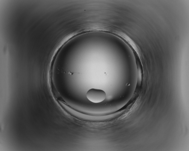 X0000094821293200711161520