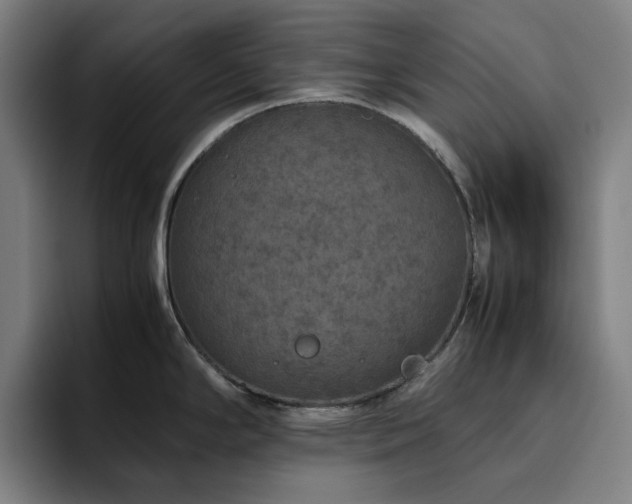 X0000094821294200711161520