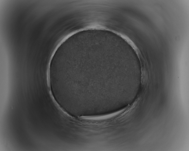 X0000094821295200711161520