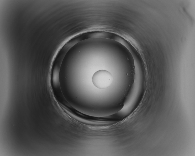 X0000094821296200711161520