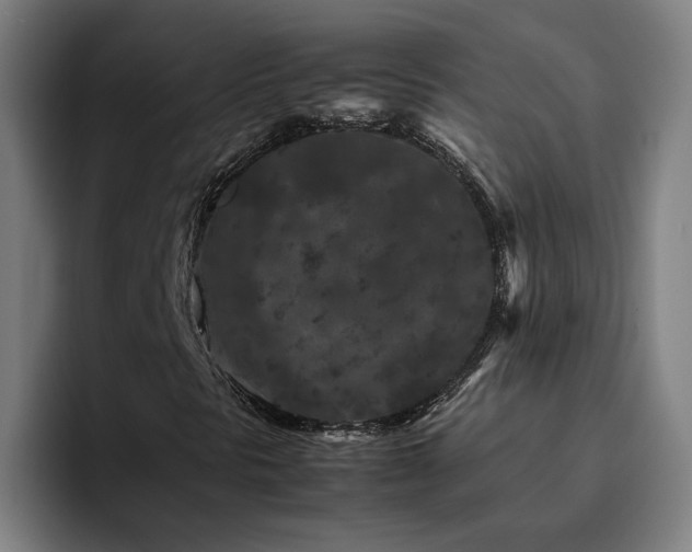 X0000094821297200711161519