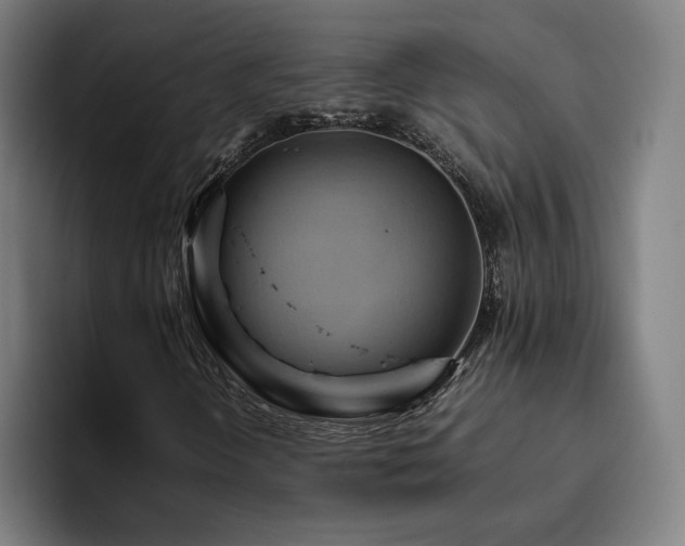 X0000094821298200711161519