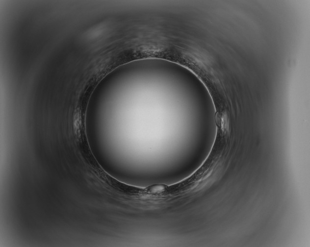 X0000094821299200711161519