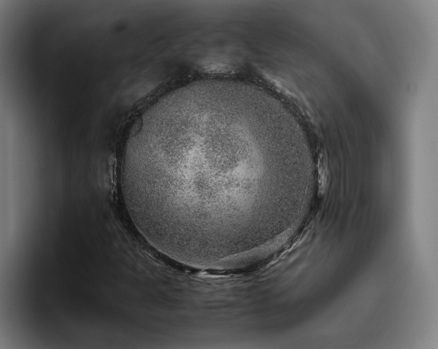 X0000094821301200711161519