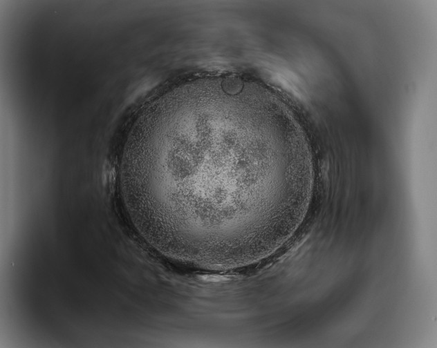 X0000094821302200711161519