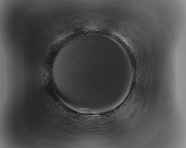 X0000094821303200711161519