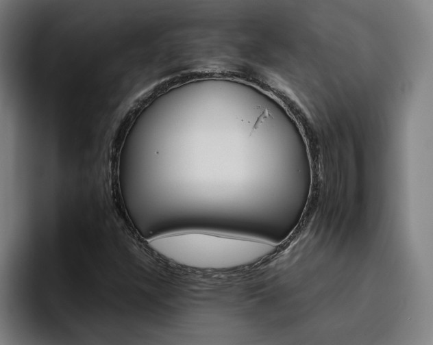 X0000094821304200711161519