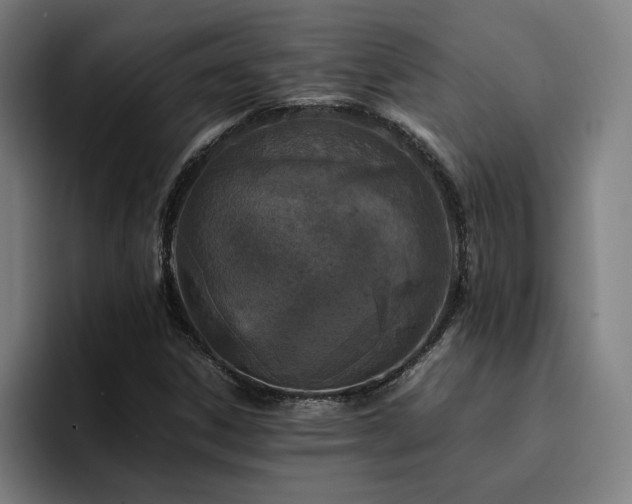 X0000094821306200711161520