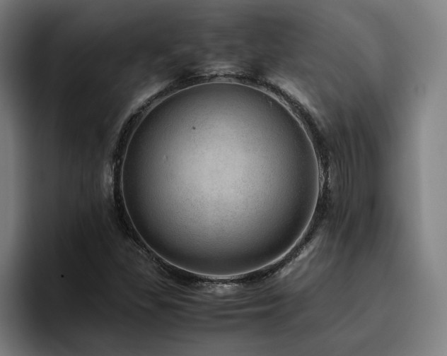 X0000094821309200711161520