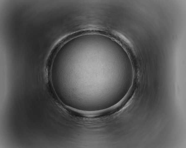 X0000094821310200711161520