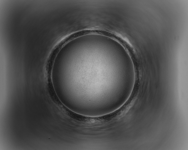 X0000094821311200711161520
