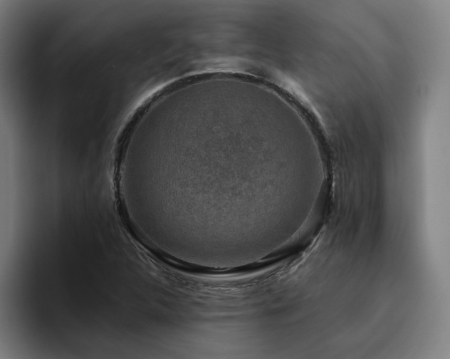 X0000094821312200711161520