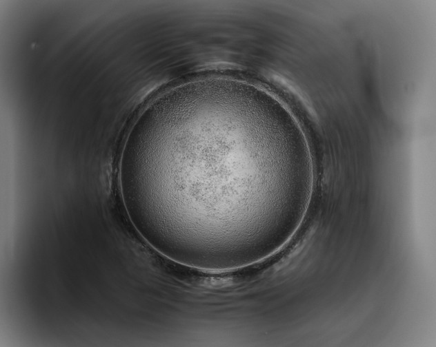 X0000094821313200711161520