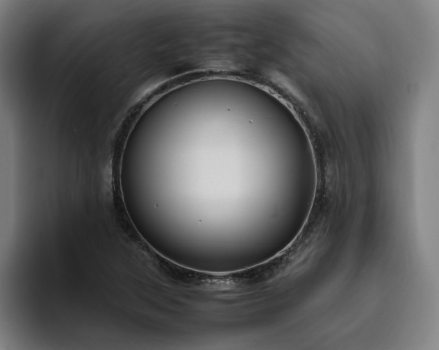 X0000094821315200711161520