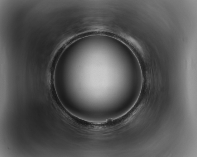 X0000094821318200711161520