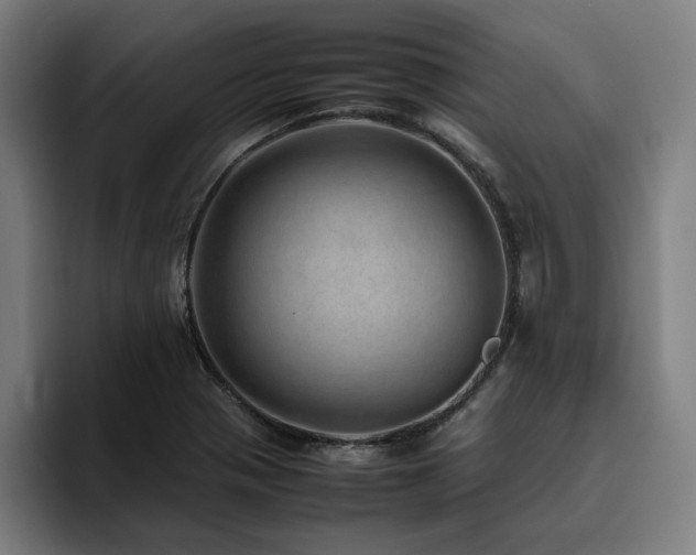 X0000094821321200711161520