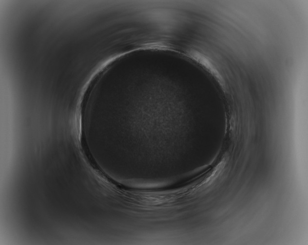 X0000094821323200711161520
