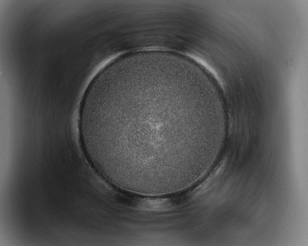 X0000094821325200711161520