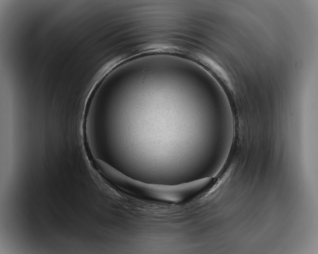 X0000094821330200711161520