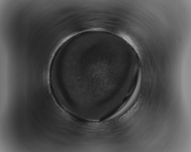 X0000094821331200711161520