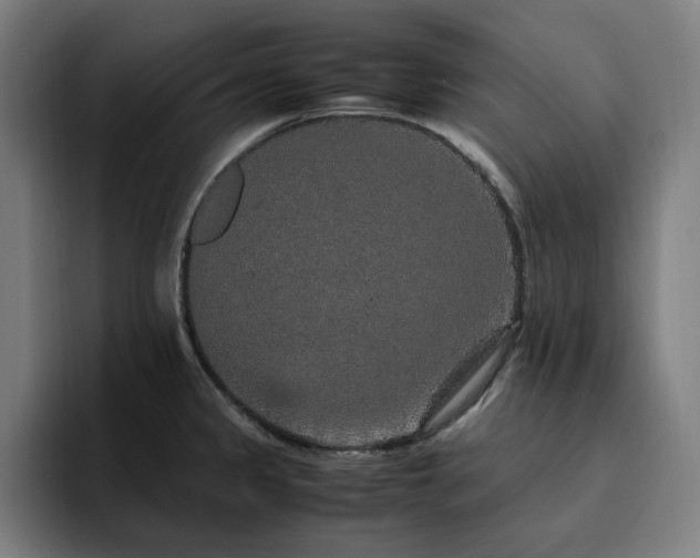X0000094821333200711161520