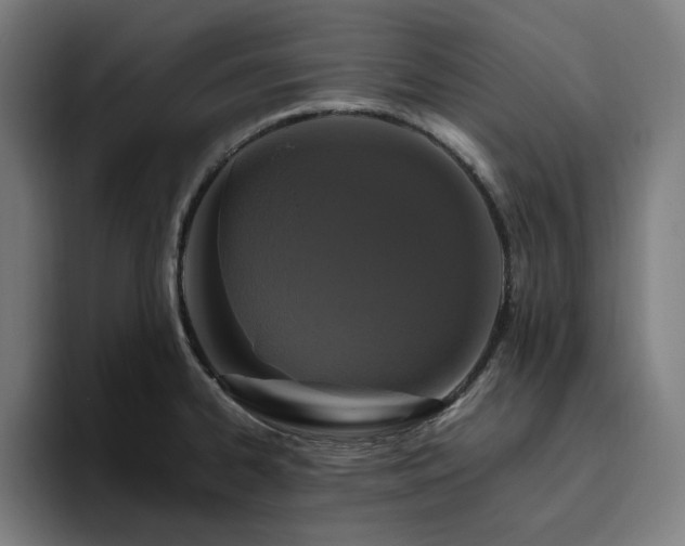 X0000094821334200711161520