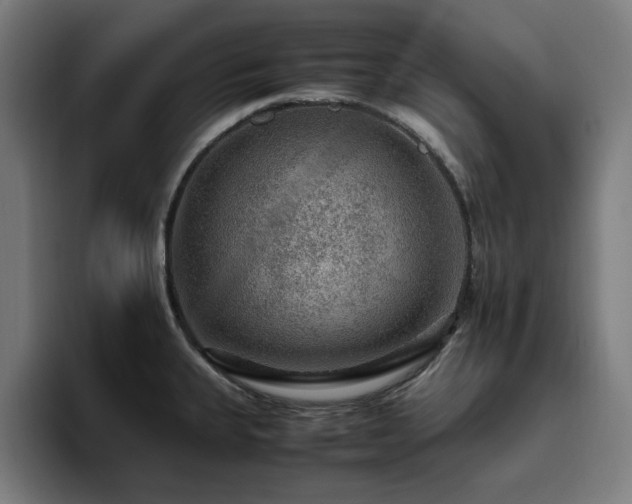 X0000094821335200711161520