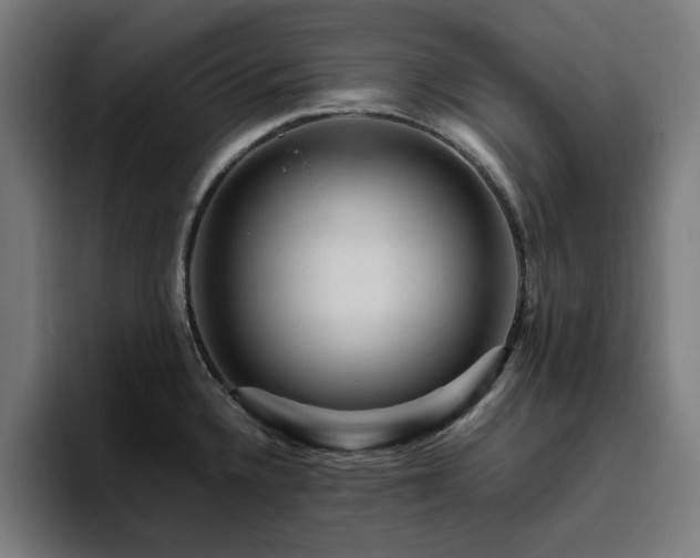X0000094821336200711161520