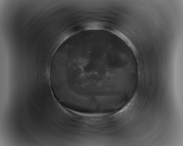 X0000094821337200711161520