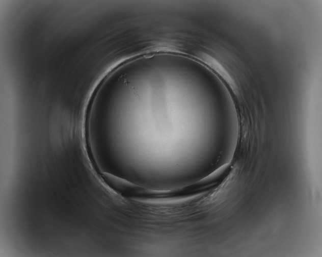X0000094821339200711161520