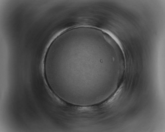 X0000094821341200711161520