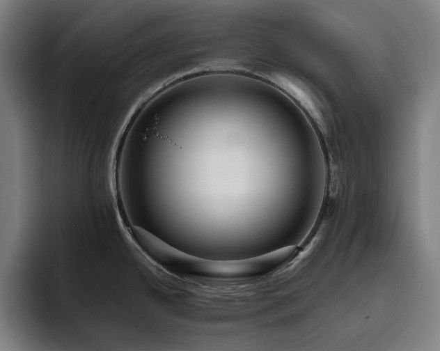 X0000094821342200711161520