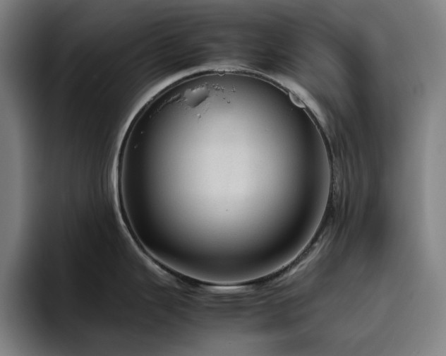 X0000094821343200711161520