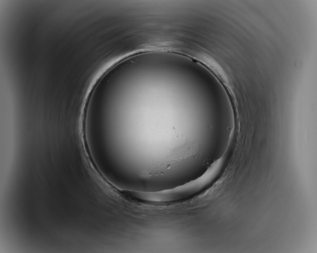 X0000094821344200711161520