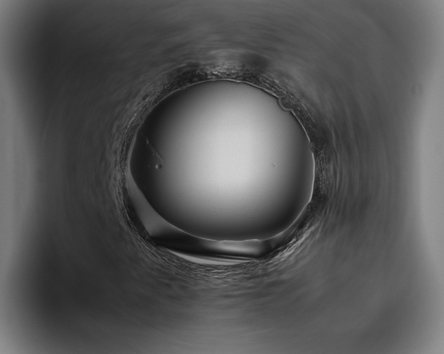 X0000094821345200711161519