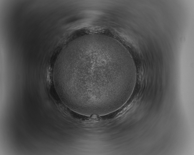 X0000094821346200711161519