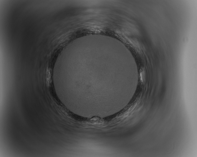 X0000094821347200711161519